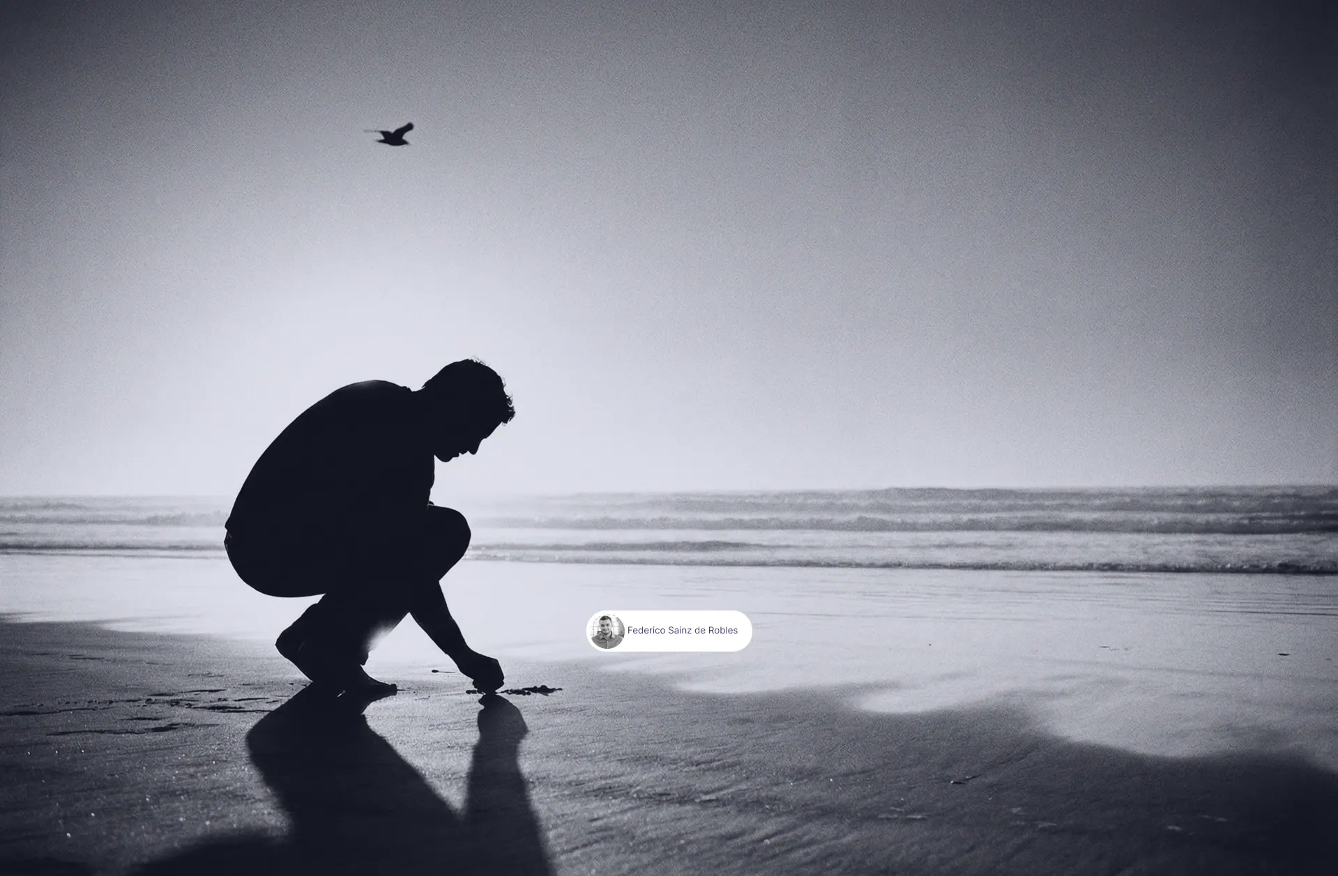 Federico Sainz de Robles